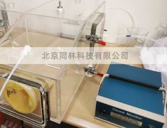 臭氧暴露染毒裝置的設(shè)計(jì)原則